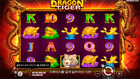 피쉬 아이